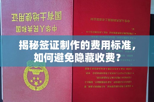 定日揭秘签证制作的费用标准，如何避免隐藏收费？