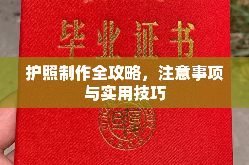 定日护照制作全攻略，注意事项与实用技巧