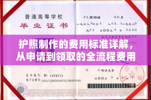 定日护照制作的费用标准详解，从申请到领取的全流程费用指南