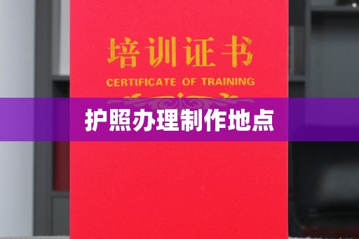 定日护照办理制作地点
