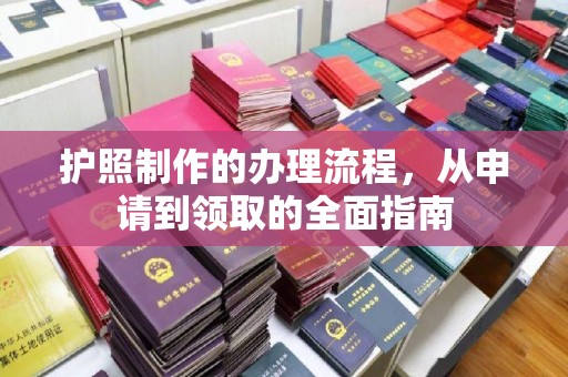 定日护照制作的办理流程，从申请到领取的全面指南