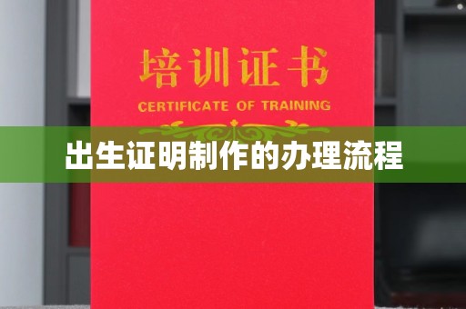 定日出生证明制作的办理流程