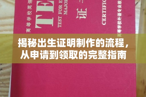 定日揭秘出生证明制作的流程，从申请到领取的完整指南