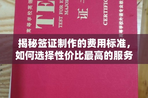 定日揭秘签证制作的费用标准，如何选择性价比最高的服务？