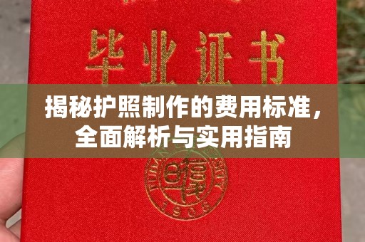 定日揭秘护照制作的费用标准，全面解析与实用指南