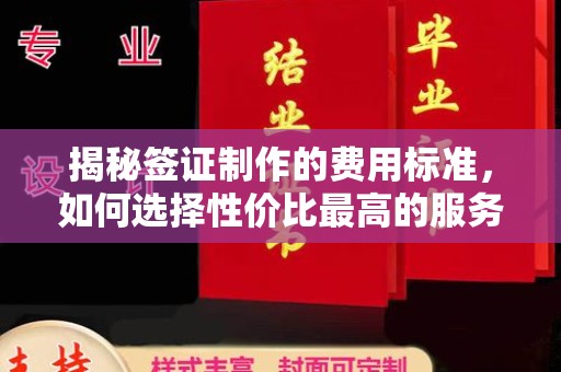 定日揭秘签证制作的费用标准，如何选择性价比最高的服务？