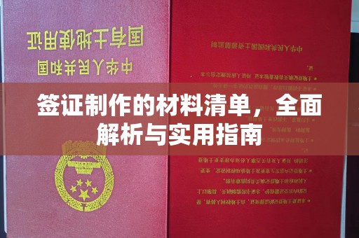 定日签证制作的材料清单，全面解析与实用指南