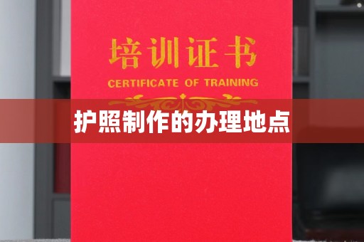 定日护照制作的办理地点