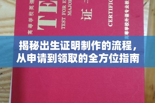 定日揭秘出生证明制作的流程，从申请到领取的全方位指南