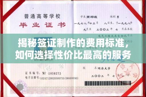 定日揭秘签证制作的费用标准，如何选择性价比最高的服务？