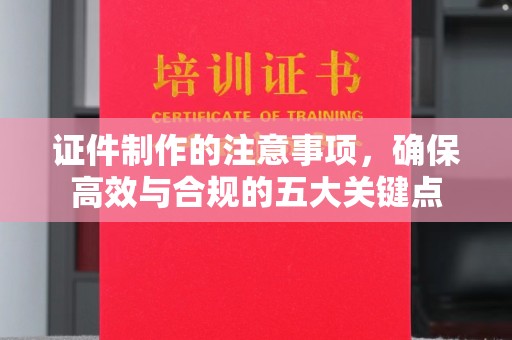 定日证件制作的注意事项，确保高效与合规的五大关键点