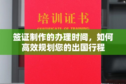 定日签证制作的办理时间，如何高效规划您的出国行程