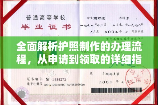 定日全面解析护照制作的办理流程，从申请到领取的详细指南