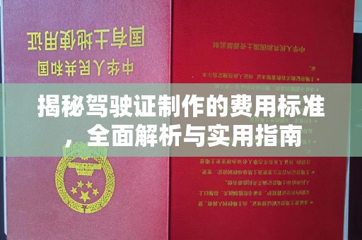 定日揭秘驾驶证制作的费用标准，全面解析与实用指南