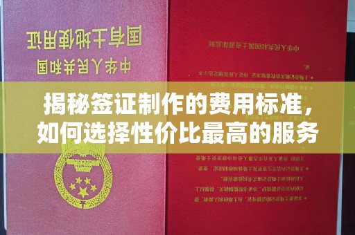定日揭秘签证制作的费用标准，如何选择性价比最高的服务？