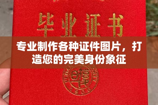 定日专业制作各种证件图片，打造您的完美身份象征