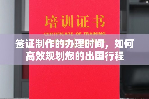 定日签证制作的办理时间，如何高效规划您的出国行程