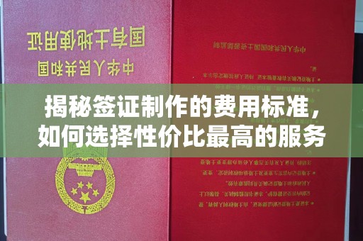 定日揭秘签证制作的费用标准，如何选择性价比最高的服务？