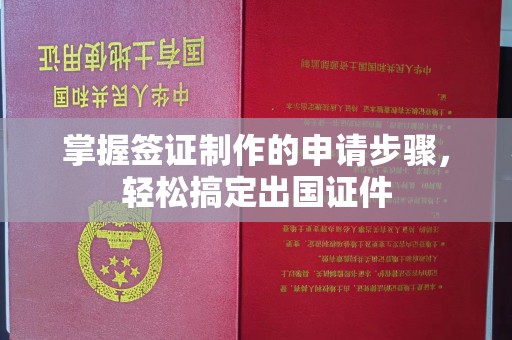 定日掌握签证制作的申请步骤，轻松搞定出国证件