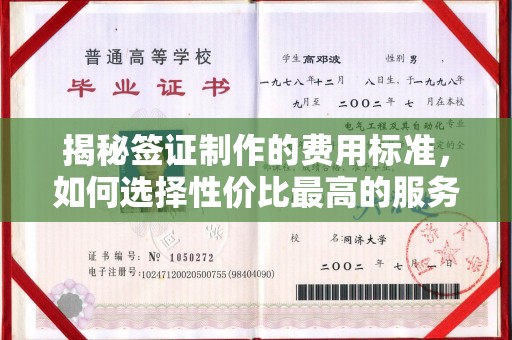 定日揭秘签证制作的费用标准，如何选择性价比最高的服务？