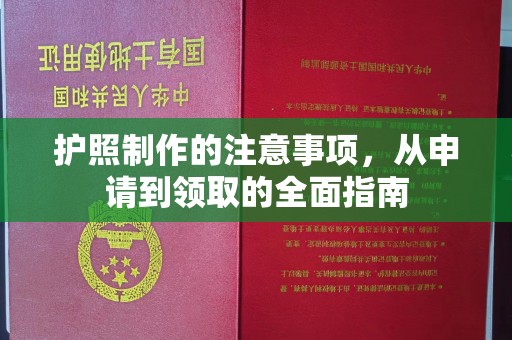 定日护照制作的注意事项，从申请到领取的全面指南