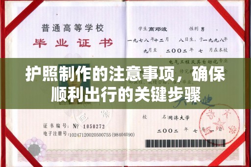定日护照制作的注意事项，确保顺利出行的关键步骤