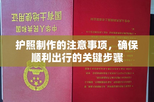 定日护照制作的注意事项，确保顺利出行的关键步骤
