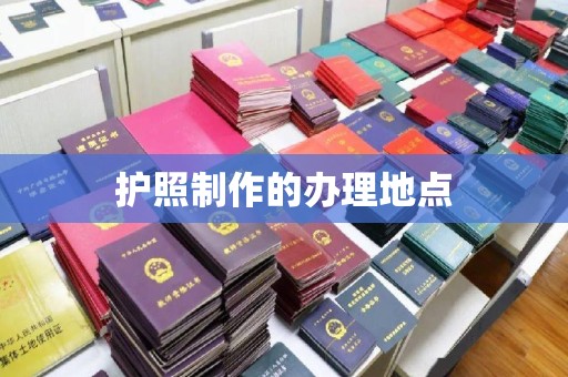 定日护照制作的办理地点